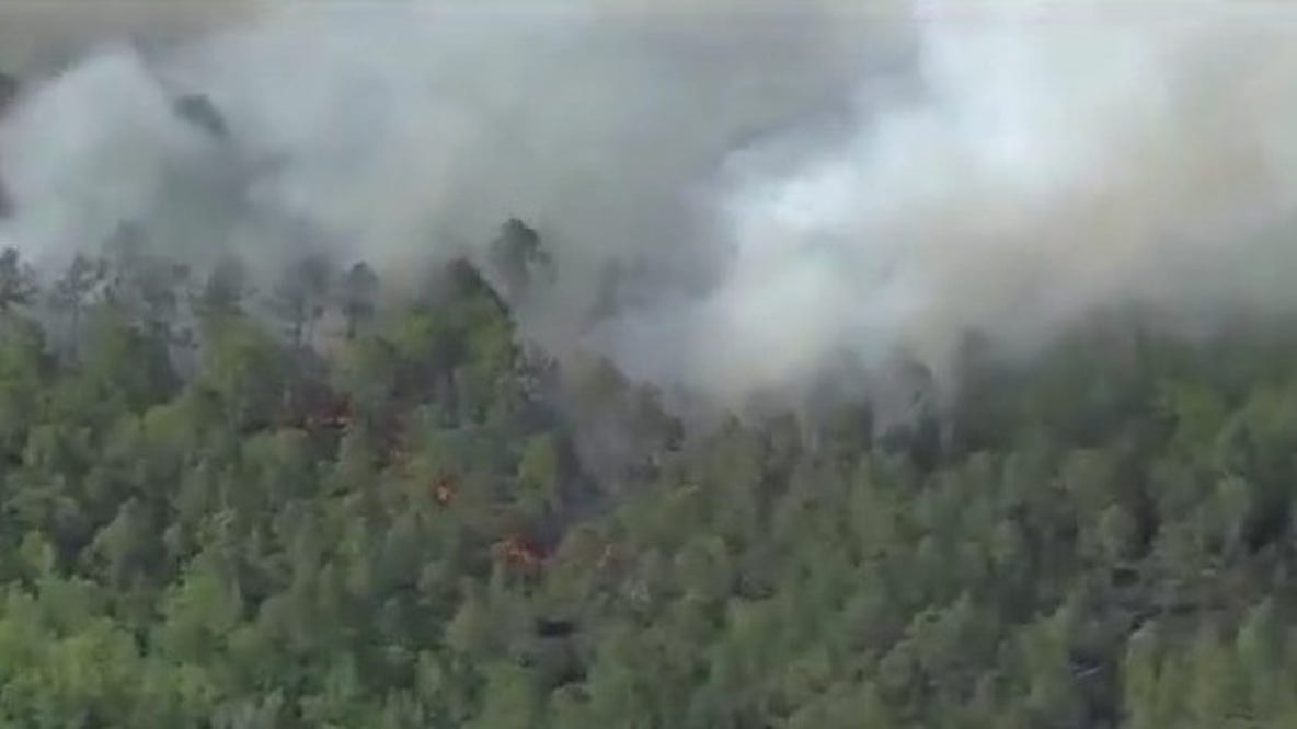 Volusia County brush fire burns hundreds of acres